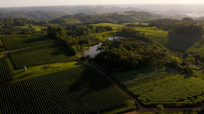 <strong>Pinto Bandeira, Brazil:</strong> The Família Geisse vineyard is increasingly known for its sparkling wine.