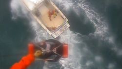 Coast Guard Shark Attack