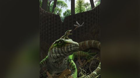 An artist's rendering of the 300-million-year-old lizard and its offspring shows the parent caring for its young in familiar ways. 