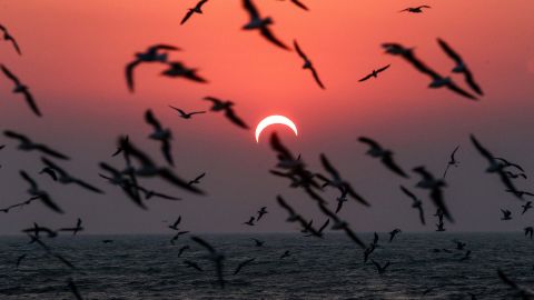 08 solar eclipse 1226 Kuwait