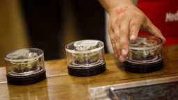 A customer examines a strain of marijuana at the MedMen dispensary in West Hollywood, California, U.S., on Tuesday, Jan. 2, 2018. Photographer: Patrick T. Fallon/Bloomberg via Getty Images