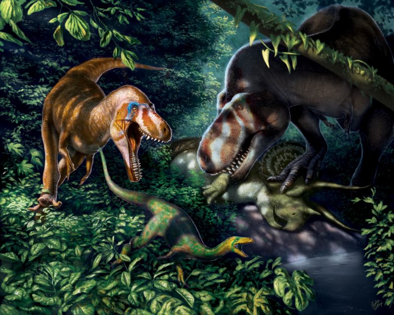 Fossil discovery reveals teenage Tyrannosaurus rexes | CNN