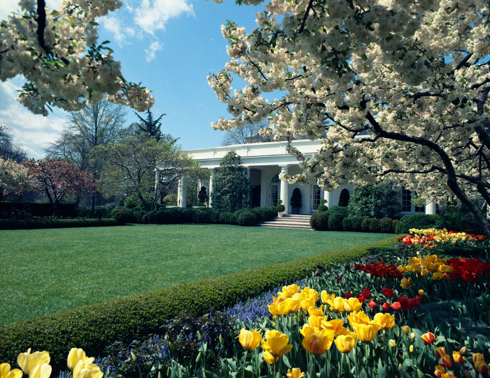 A spring day in the Rose Garden in 1975.