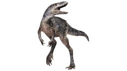 1b-New-species-Khankhuuluu_ancestor-of-tyrannosaurs_Illustration-credit-Masato-Hattori.jpg