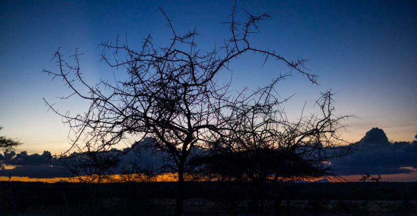 Sunrise over the rhino sanctuary at Sera community conservancy in Samburu County.