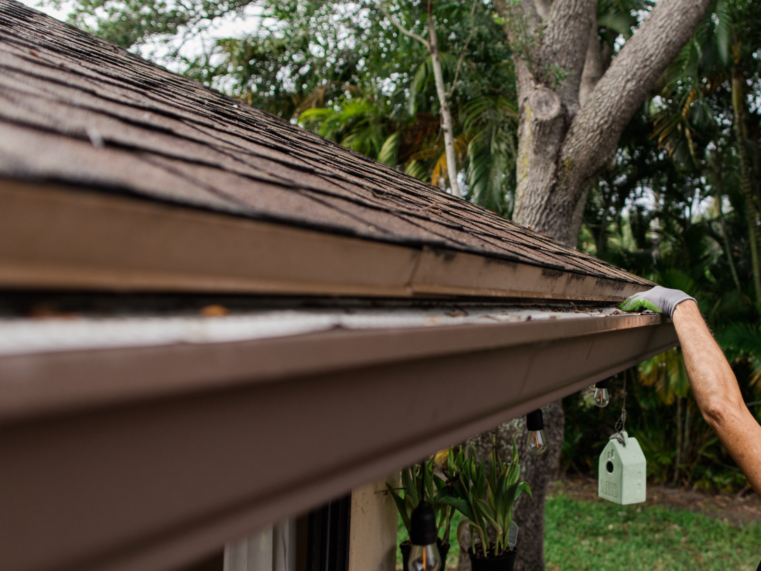 Person cleans leaves from rooftop gutter