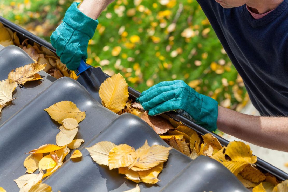 Cleaning leaves out of a gutter