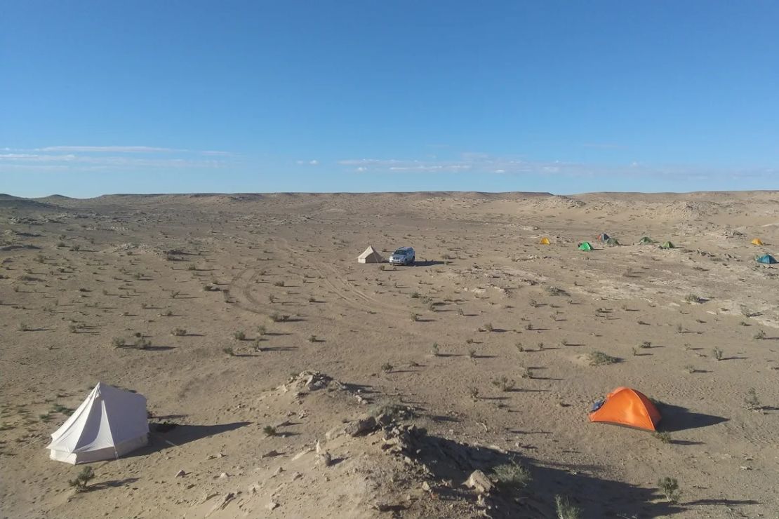 Duonychus tsogtbaatari fue desenterrado en el desierto de Gobi de Mongolia.
