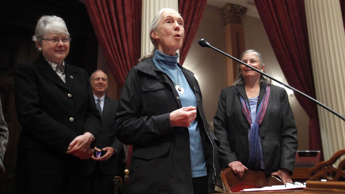 Goodall demonstrates a chimpanzee greeting call as she visits the California state Senate in 2011.