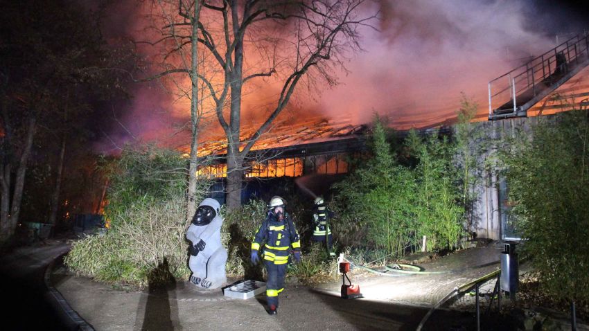 Firefighters stand in front of the burning monkey house at Krefeld Zoo, in Krefeld, Germnay, Wednesday Jan 1, 2020. A fire at a zoo in western Germany killed a large number of animals in the early hours of the new year, authorities said. (Alexander Forstreuter/dpa via AP)