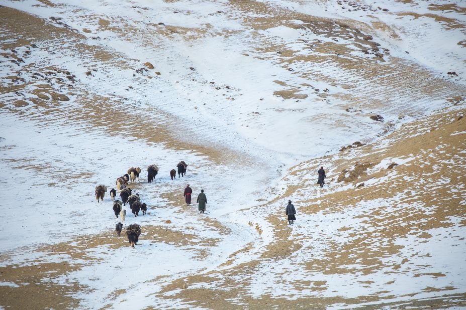 A yak caravan winds its way across a valley. Nowadays Jeeps are used to transport the heavy and bulky items, though they are no match for yaks over this rugged winter terrain.