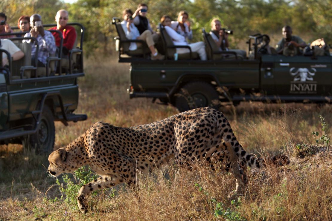 Park authorities and safari operators agree that changes are needed to keep visitors and animals safe.