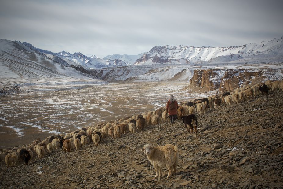 Each family has several hundred goats, all of which need to be moved separately so they don't get mixed up. Scroll through the gallery to see more of Andrew Newey's photographs from the Changthang plateau.