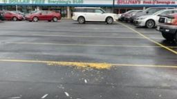 This is one of the photos posted by the Laurel Police Department. Officers responded to the Laurel Plaza Shopping Center in Laurel, Maryland Saturday morning after a report of animal cruelty 