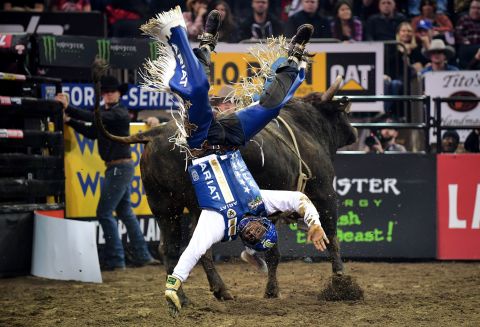 Ezekiel Mitchell falls off Awesome Man during a Professional Bull Riders event in New York on Saturday, January 4.