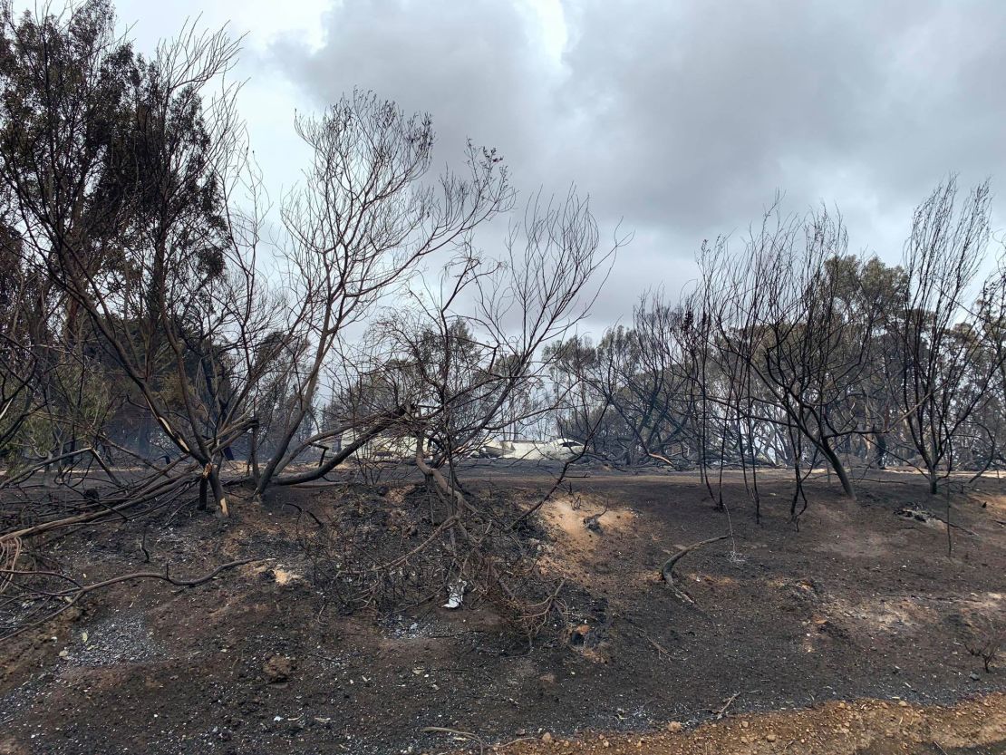 'Some images from today's drive around the Kangaroo Island fire ground with my friend and KI local Tony Nolan,' Leon Bignell wrote on Facebook