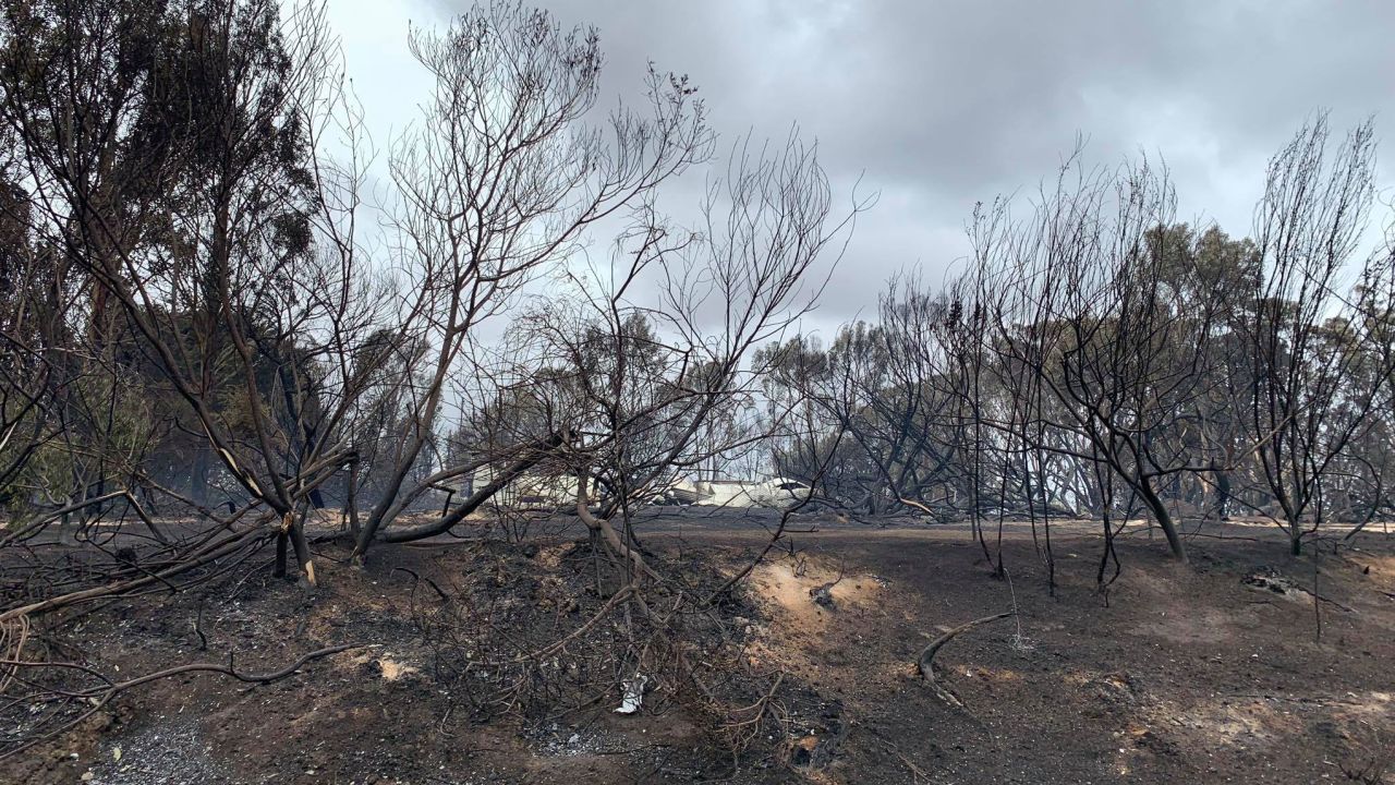 'Some images from today's drive around the Kangaroo Island fire ground with my friend and KI local Tony Nolan,' Leon Bignell wrote on Facebook