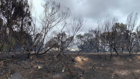 'Some images from today's drive around the Kangaroo Island fire ground with my friend and KI local Tony Nolan,' Leon Bignell wrote on Facebook
