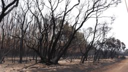 06 australia bushfires kangaroo island
