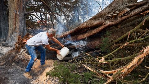 A resident throws a bucket of water onto a smoldering tree on his property in Wingello, Australia. 