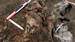 Researchers from Russia's RAS Institute of Archeology excavated the burial sites of four women, who were buried with battle equipment in the Voronezh Region of southwestern Russia and believed to be Amazon warrior women.