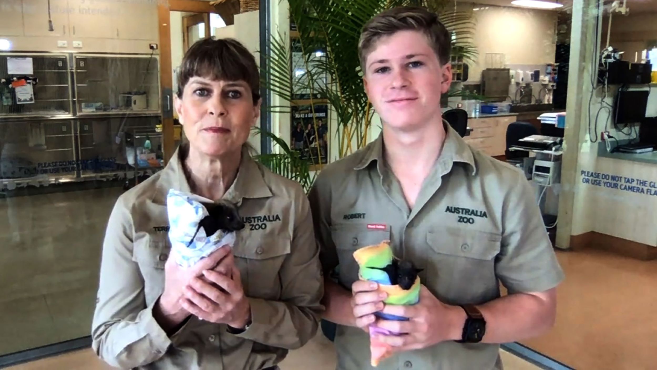 The Irwin family is working to save the animals injured in the Australia  wildfires | CNN