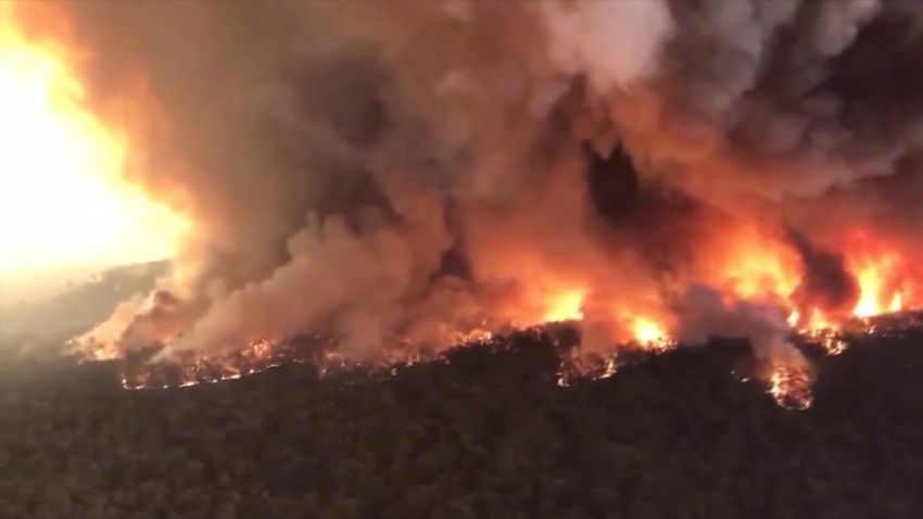 Amanpour Tim Flannery Australia bushfires_00033704.jpg