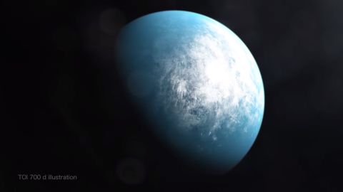 TOI 700 d is the first potentially habitable Earth-size planet spotted by NASA's planet-hunting TESS mission.