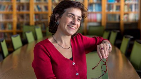 Persis Karim chairs the Center for Iranian Diaspora Studies at San Francisco State University.