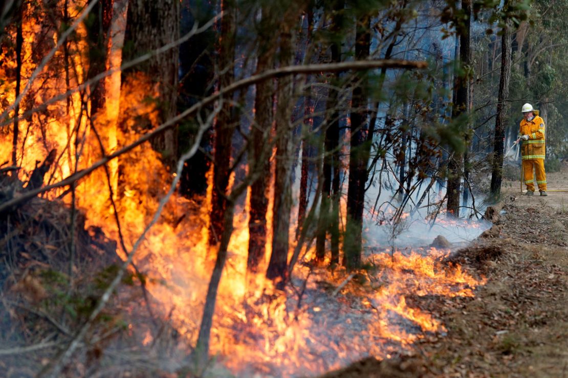 A firefighter manages a controlled burn near Tomerong, Australia, set in an effort to contain a larger fire nearby. 