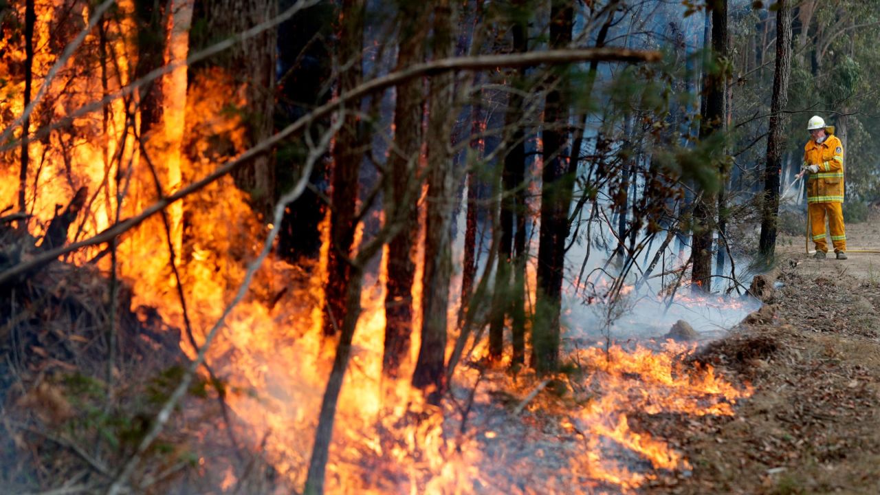 A firefighter manages a controlled burn near Tomerong, Australia, set in an effort to contain a larger fire nearby. 