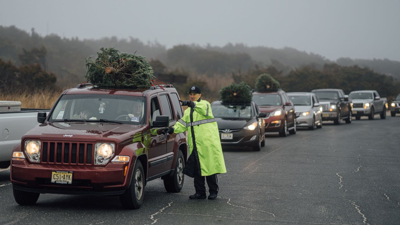 Thousands donated Christmas trees to help restore a state park that