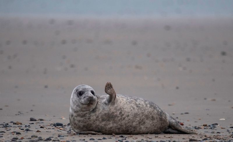 The week in 27 photos