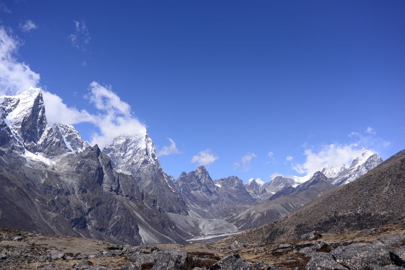 Climate Change: Plants Are Growing Around Everest -- And The ...