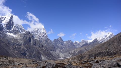 Plant life is expanding in the area around Mount Everest, and across the Himalayan region, researchers have found. 
