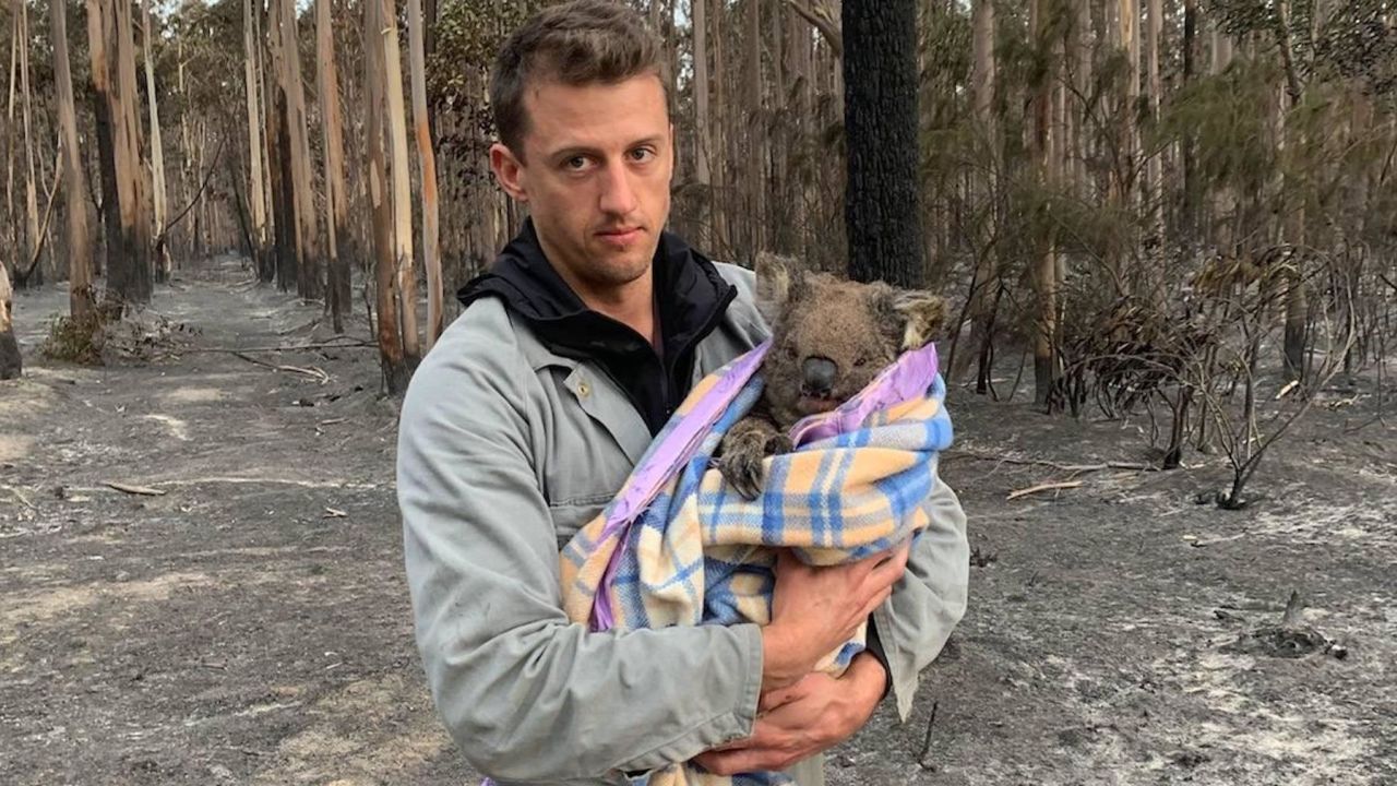Jack Bruce holds Wilbur, a koala rescued from the fires, who he and his partner Alyex Burges are helping rehome. 