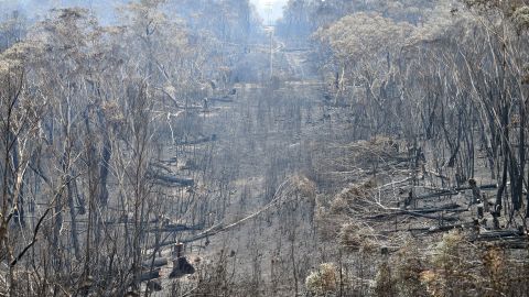 A view of the landscape after a bushfire on Mount Weison, 74 miles (120 km) northwest of Sydney.