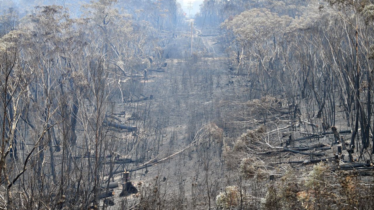 A view of the landscape after a bushfire on Mount Weison, 74 miles (120 km) northwest of Sydney.