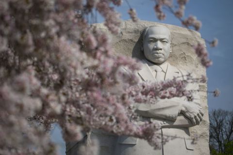 <strong>Martin Luther King Jr. Memorial (Washington):</strong> On the National Mall, King's memorial is framed by blooming cherry trees on a gorgeous early April day in 2019.  