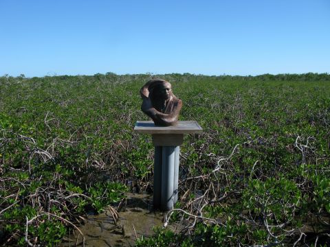 <strong>Bimini, Bahamas:</strong> King visited the mangrove swamps of Bimini to write in a quiet place, leading to a memorial in the swamps.