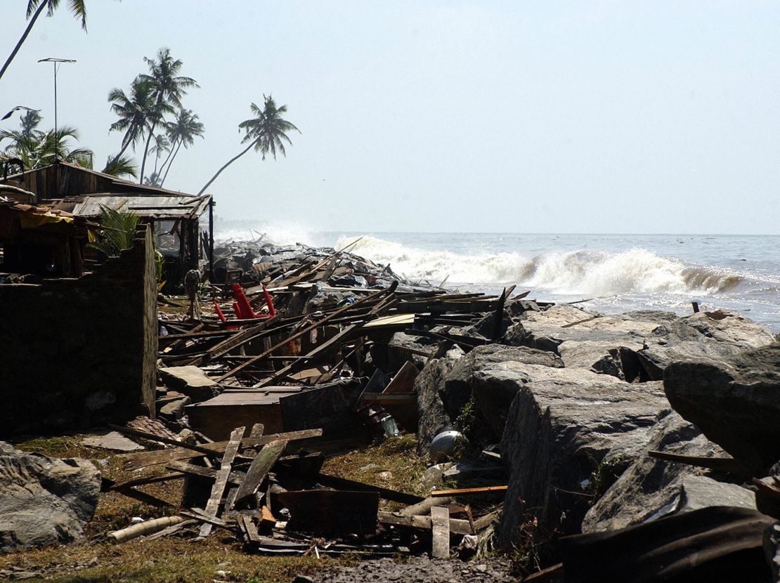 When Sri Lanka was hit by a tsunami in 2004, some areas were protected by mangrove forests. 