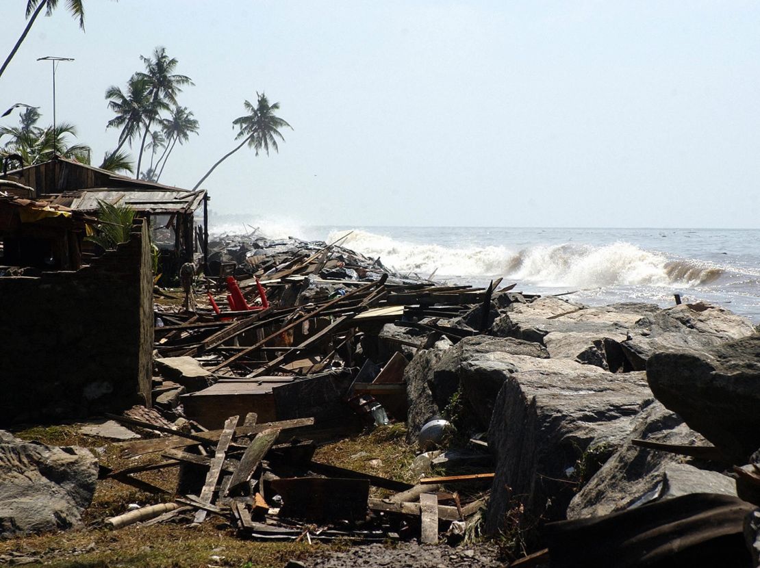 When Sri Lanka was hit by a tsunami in 2004, some areas were protected by mangrove forests.