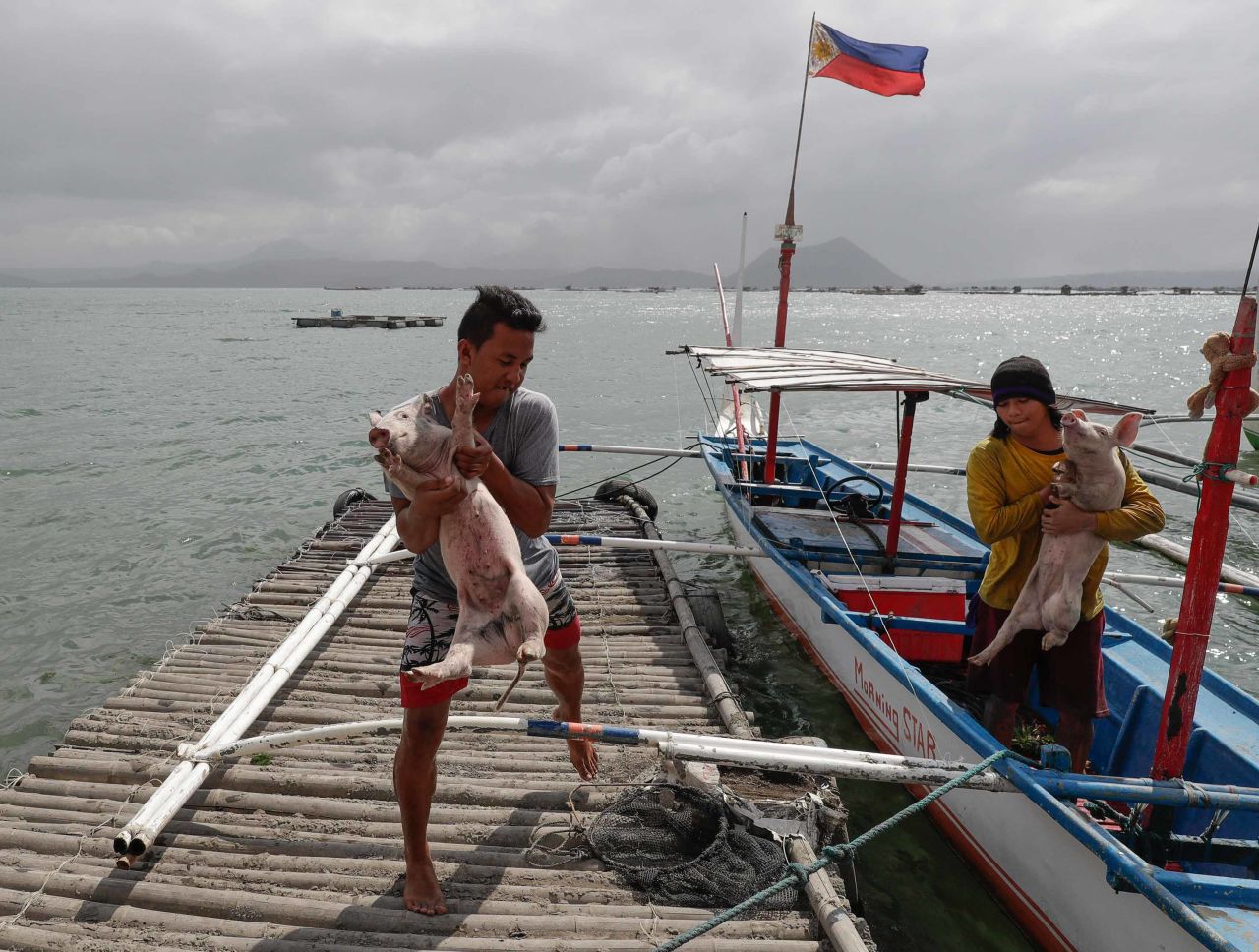 Men carry piglets that were rescued in Talisay on January 14.