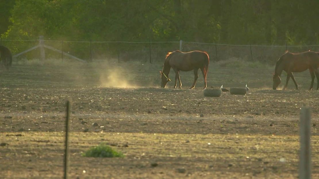 03 murrurundi australia drought