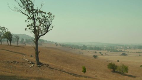 05 murrurundi australia drought