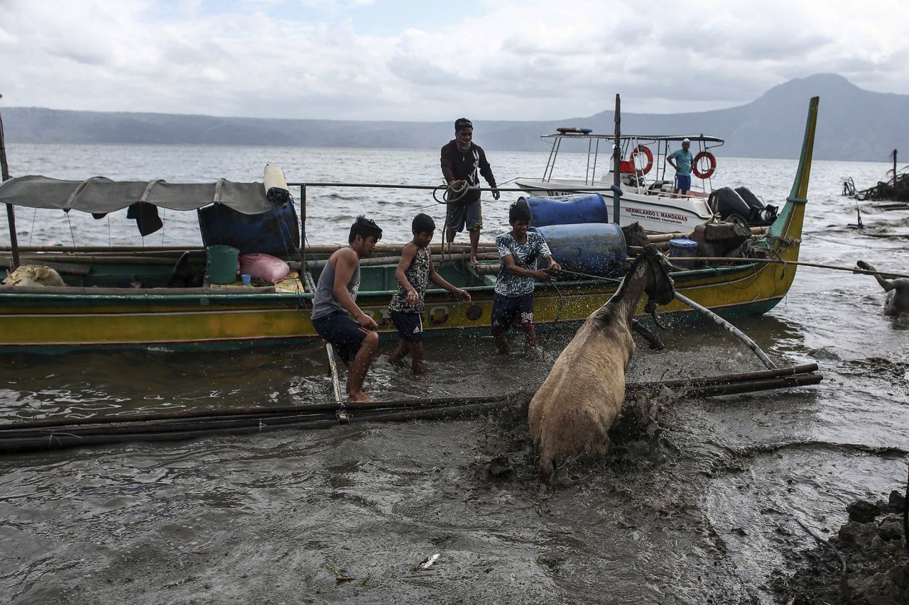 Volunteers save animals that were left behind in Batangas.