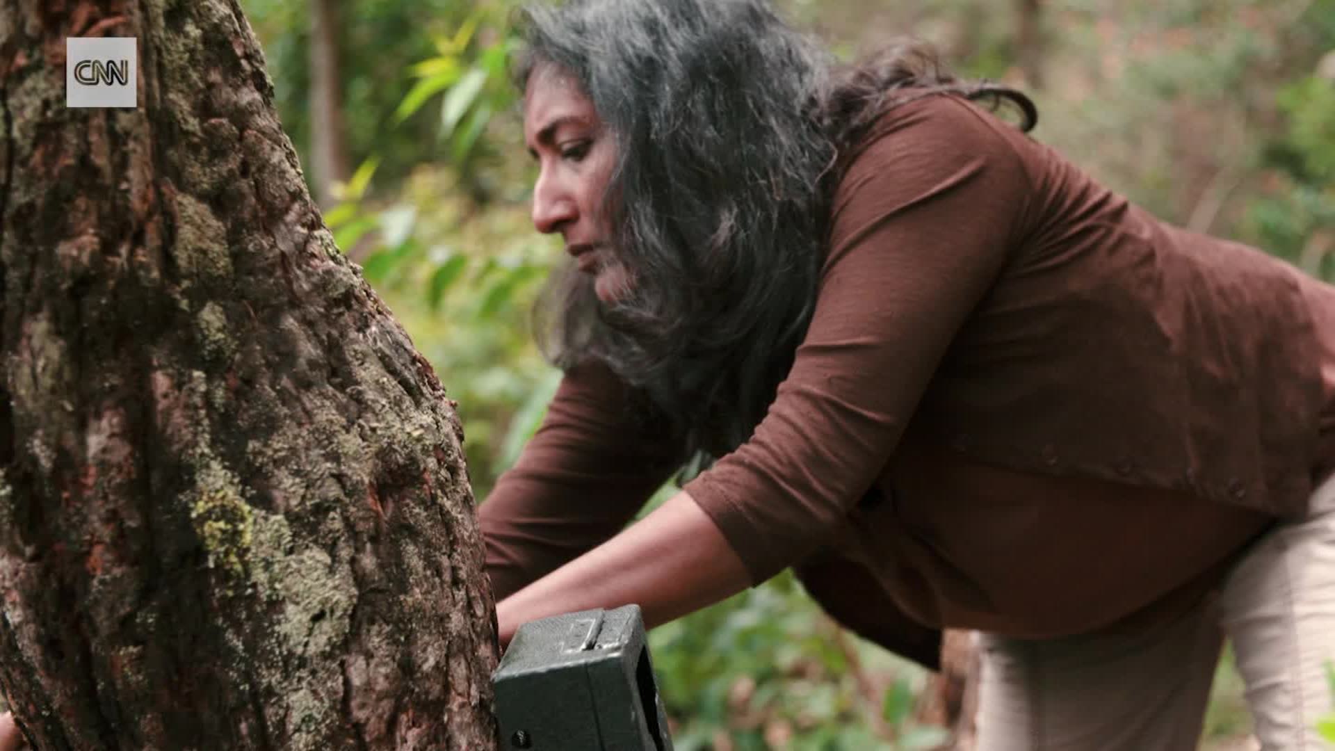 1920px x 1080px - Ecologist working to save the Sri Lankan leopard | CNN