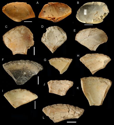 Shell tools were recovered from an Italian cave that show Neanderthals combed beaches and dove in the ocean to retrieve a specific type of clam shell to use as tools.