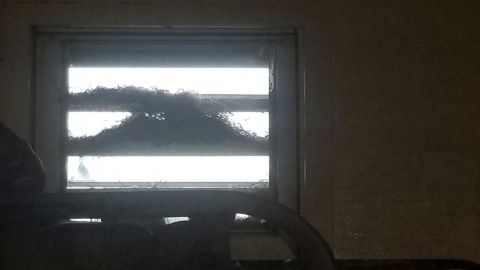 Birds' nests were observed in the windows of several prisoners' cells.