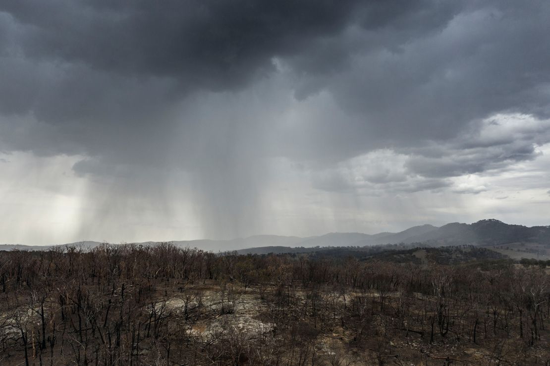Rain falls on drought and fire-ravaged country near the city of Tamworth, New South Wales.